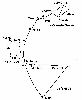bouvier-vierge-gde_ourse.jpg