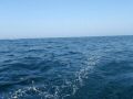 aout_08_014.jpg