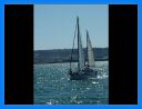 aout-09_219.jpg