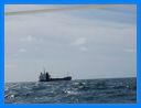 aout-09_265.jpg