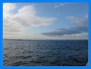 aout-09_270.jpg