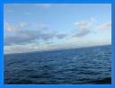 aout-09_274.jpg