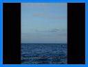 aout-09_276.jpg