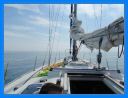 2011_aout_061.jpg