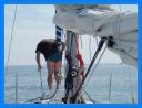 2011_aout_075.jpg