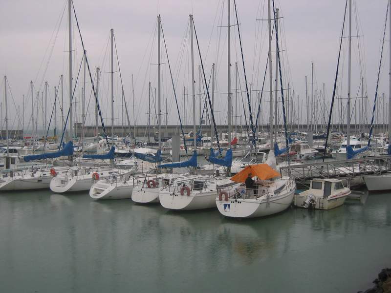 2005_avril_055.jpg