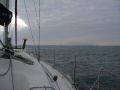 avril-06_n-15.jpg