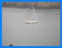 2007_avril_024.jpg
