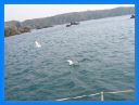 2007_avril_047.jpg