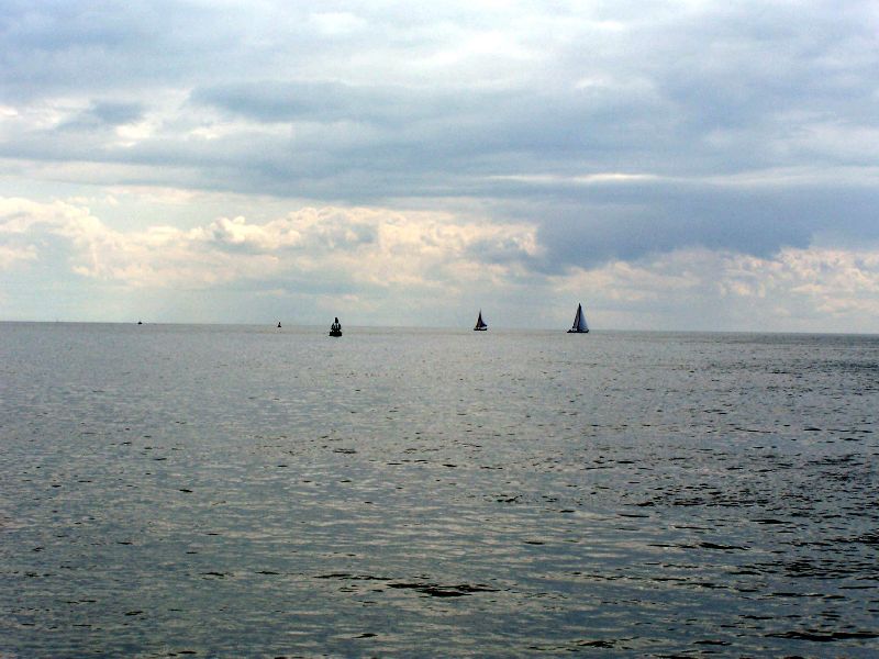 2008_avril_039.jpg