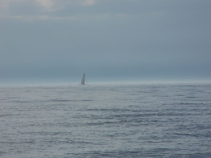 2008_avril_063.jpg