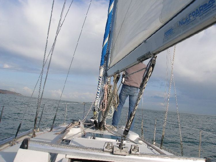 2008_avril_106.jpg