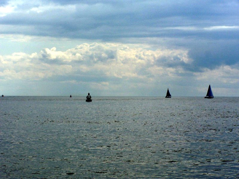 2008_avril_149.jpg