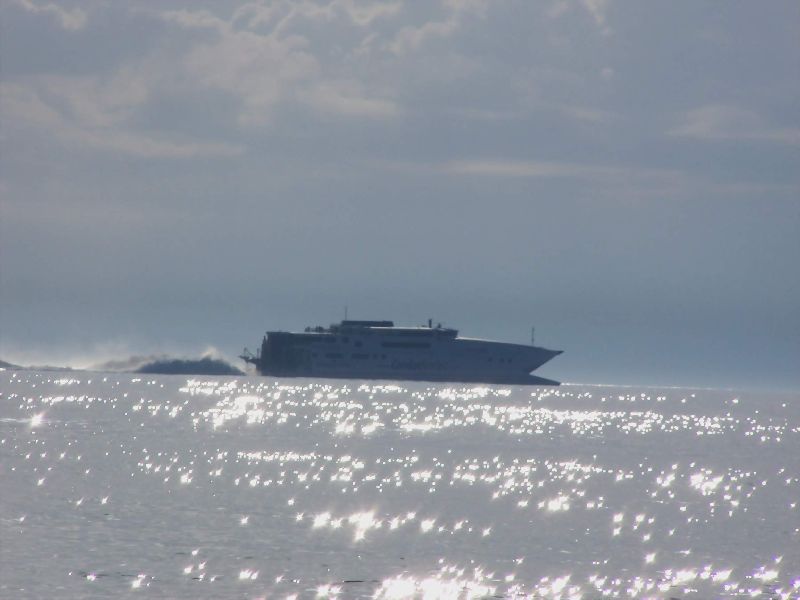 2008_avril_173.jpg