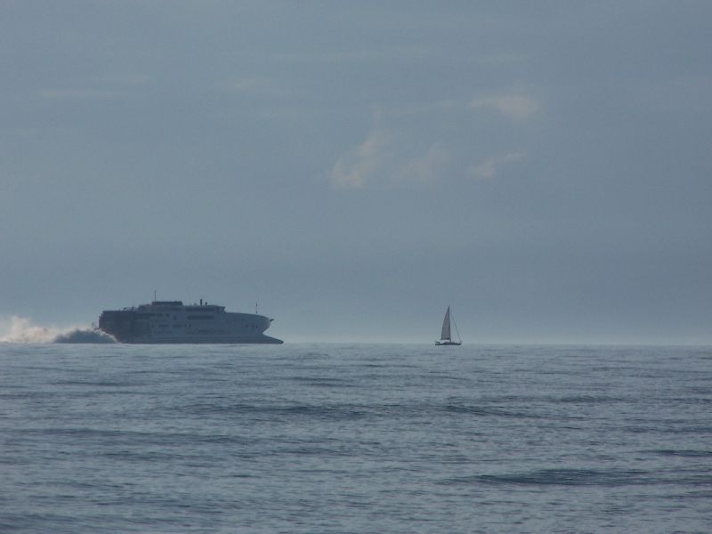 2008_avril_174.jpg