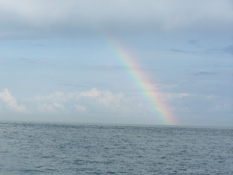 2008_avril_182.jpg