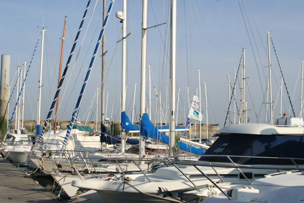 2010_avril_033.jpg
