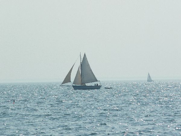 2011_avril_127.jpg