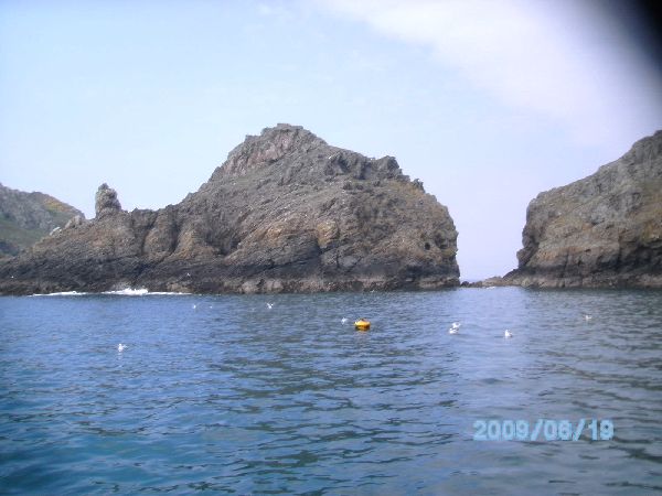 2011_avril_309.jpg