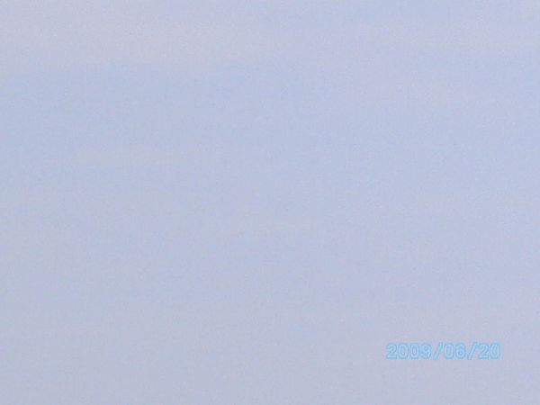 2011_avril_334.jpg