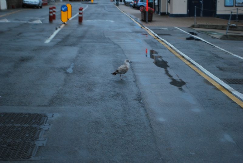 2013_oct_066.jpg