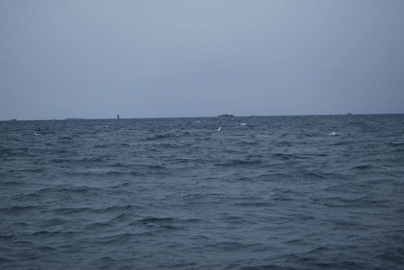 2013_oct_137.jpg