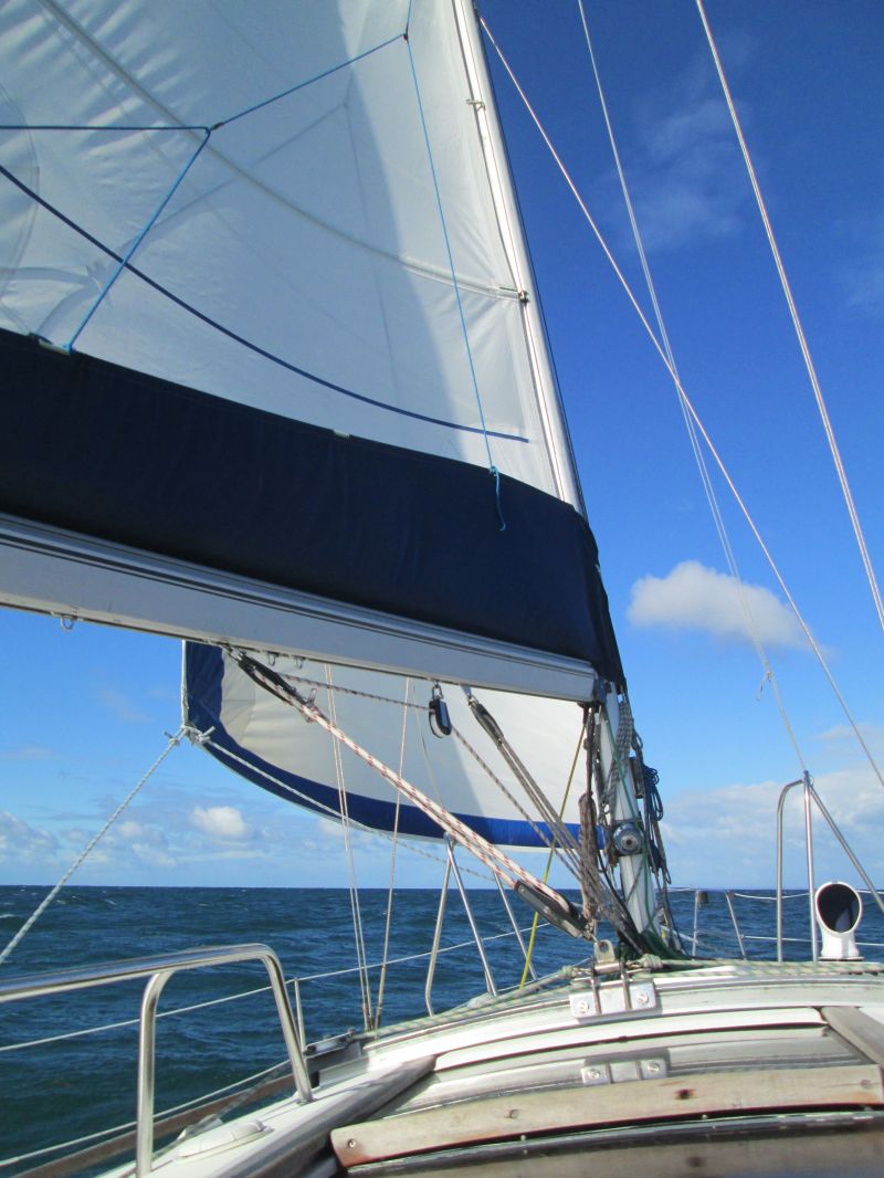 2013_oct_206.jpg