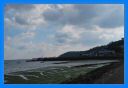 2013_oct_090.jpg