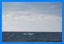 2013_oct_135.jpg