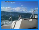 2013_oct_204.jpg