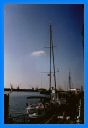 2001_sept_007.jpg