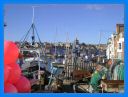 2005_ sept_013.jpg