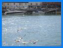 2005_ sept_033.jpg
