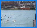 2005_ sept_034.jpg