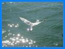 2005_ sept_035.jpg