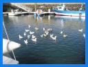 2005_ sept_104.jpg
