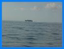 2005_ sept_136.jpg