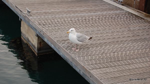 2012_sept_542.jpg
