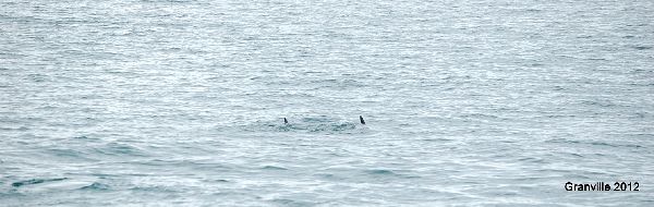 2012_sept_630.jpg