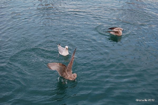 2012_sept_664.jpg